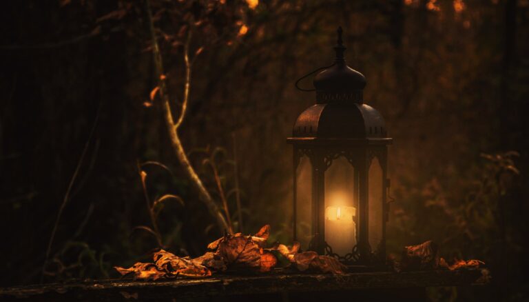 Affrontare l’autunno: tra ombre, radici e trasformazione